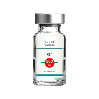NAD+ 500 MG PeptideStacks.ca Template 2 Vial